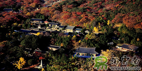 釜山梵魚寺