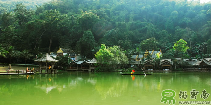 西雙版納原始森林公園