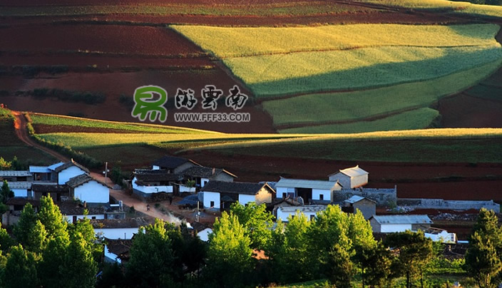 東川紅土地拍攝