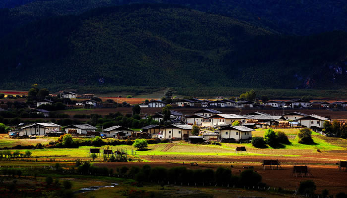 香格里拉風光