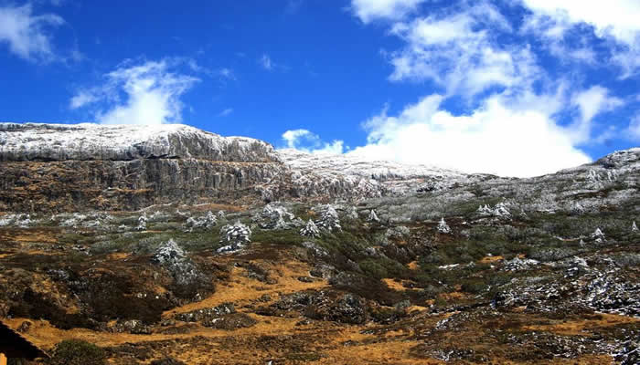 昆明轎子雪山山頂景色