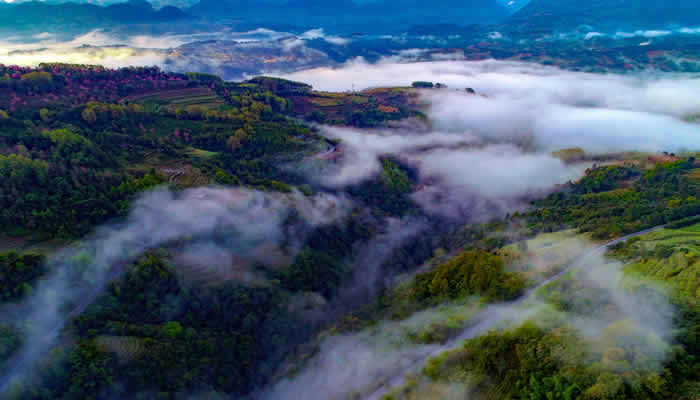 景邁山云海